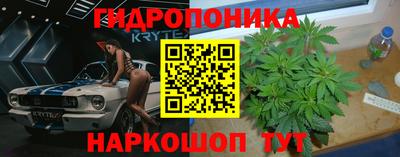 гидра Конаково